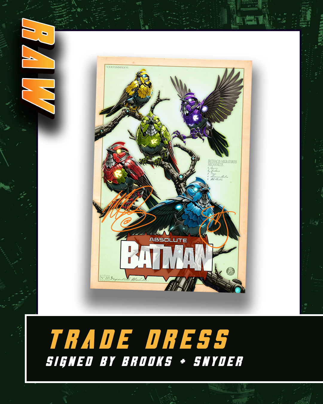PRESALE: Absolute Batman #20: First Appearance of The Absolute Robins